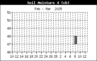 Soil Moisture 4