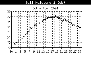 Soil Moisture 1