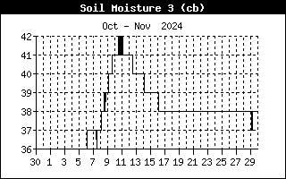 Soil Moisture 3