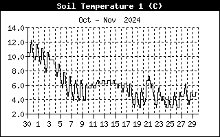 Soil Temperature 1